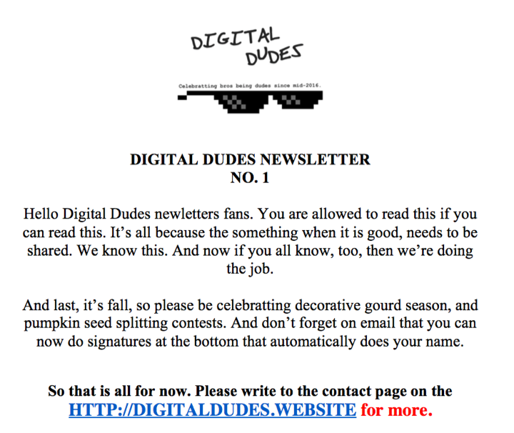 Digital Dudes Newsletter 1