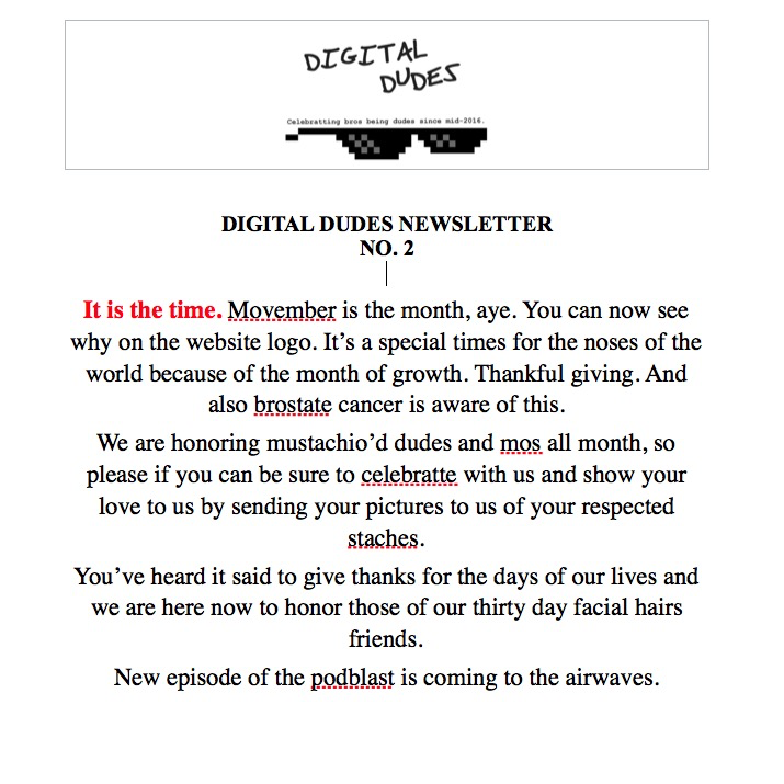 Digital Dudes Newsletter 2
